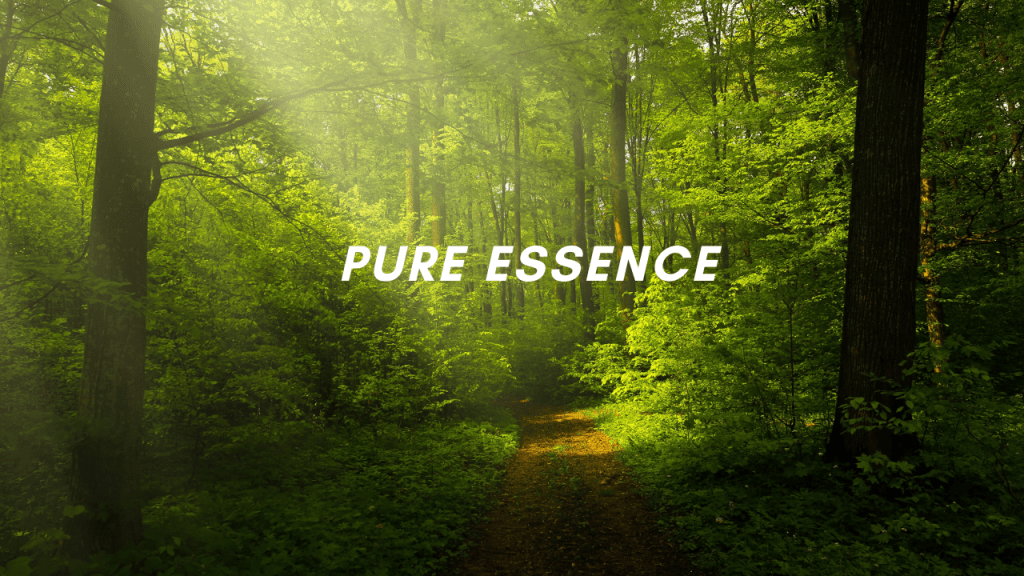 The Beginning of Mahabutavani&nbsp;🌿